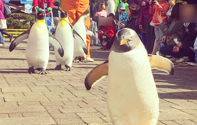 登別マリンパーク ニクス