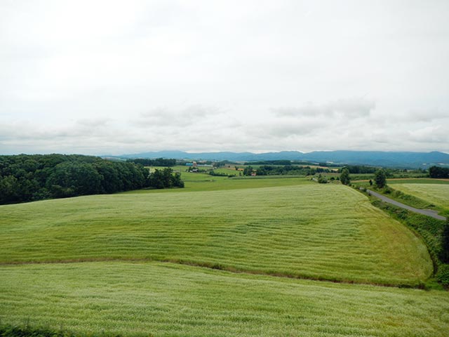 北西の丘展望公園