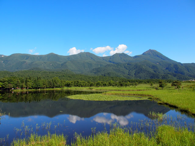 【期間限定】知床五湖