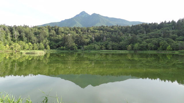 【期間限定】姫沼