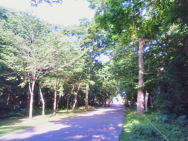 青葉公園