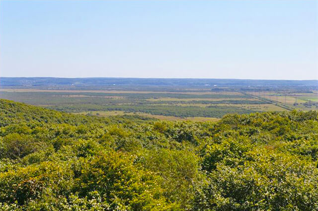 釧路市湿原展望台