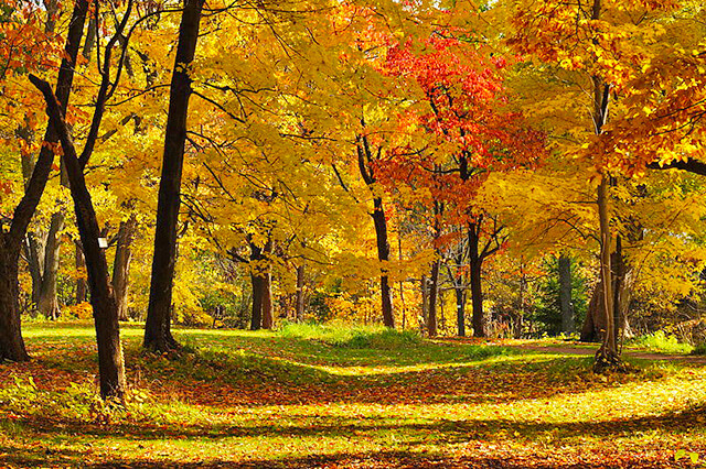 北海道大学植物園 温室(グリーンハウス)