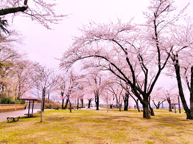八戸城跡(三八城公園)