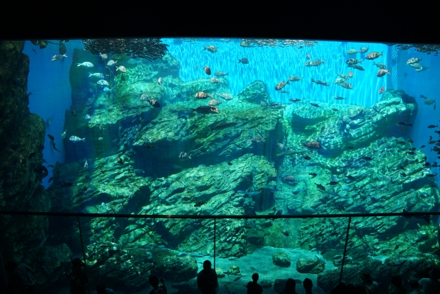 仙台うみの杜水族館