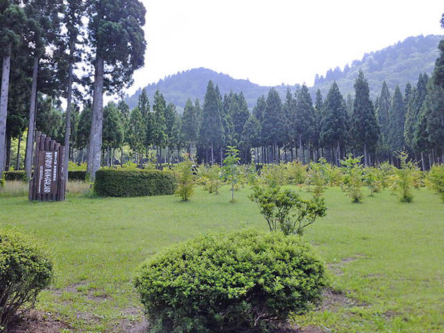 県民の森