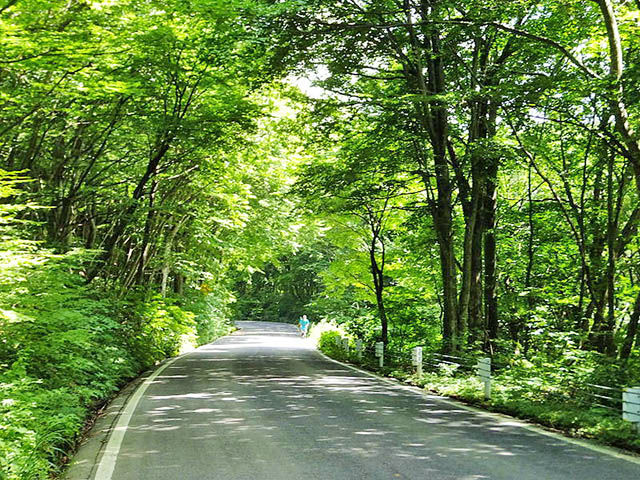 県道60号田沢湖畔線の坂