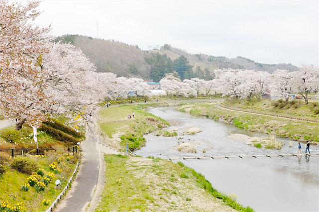 夏井千本桜遊歩道