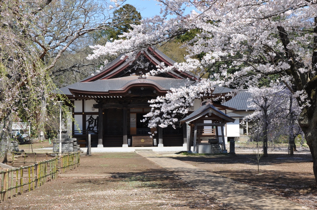 千姫ゆかりの地を歩く ウォーキング・お散歩コース検索 NAVITIME