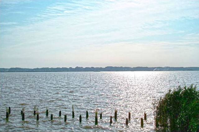 霞ヶ浦