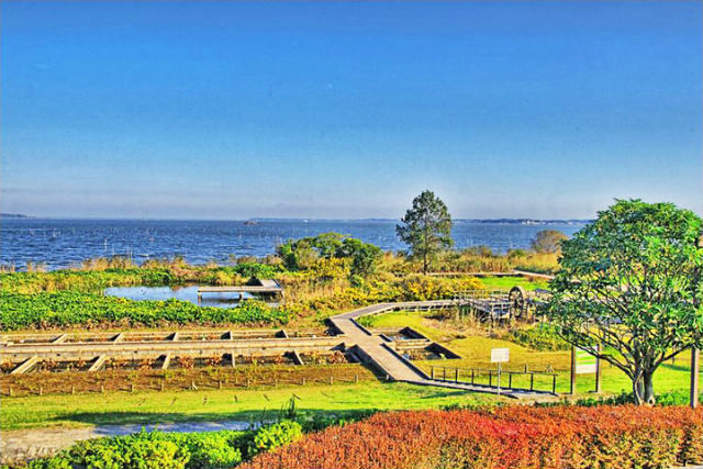 ネイチャーセンター