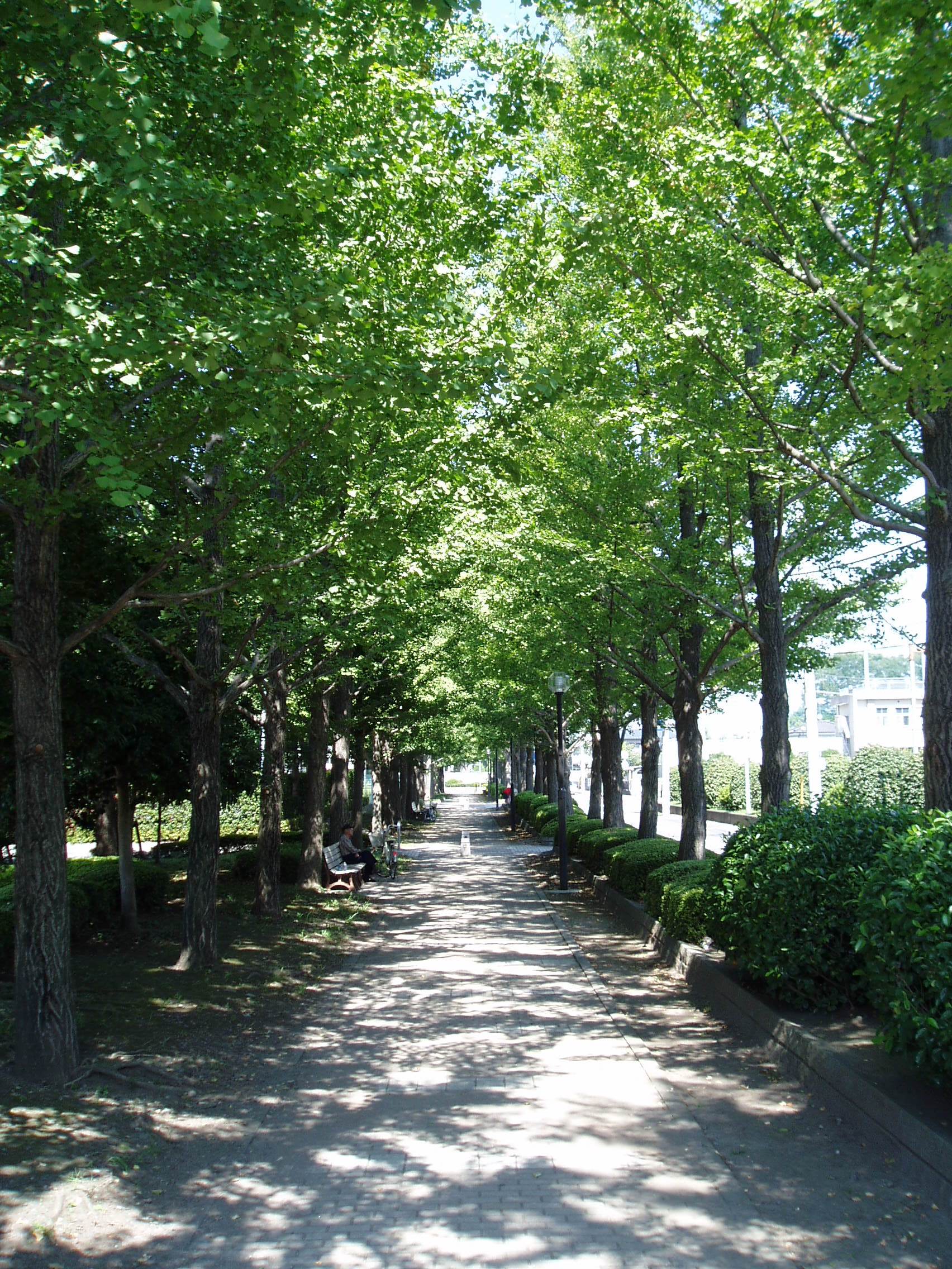 宇都宮駅東公園