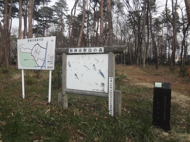 野鳥の森