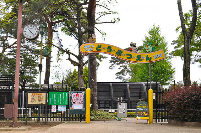 大宮公園小動物園