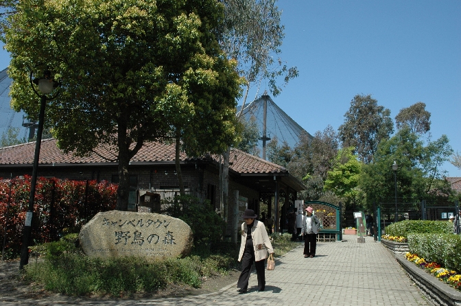 キャンベルタウン野鳥の森
