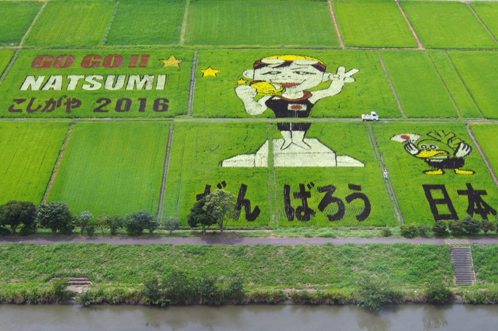 田んぼアート