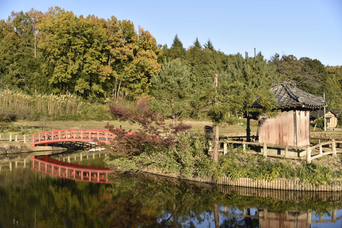 鳴かずの池（弁天沼）
