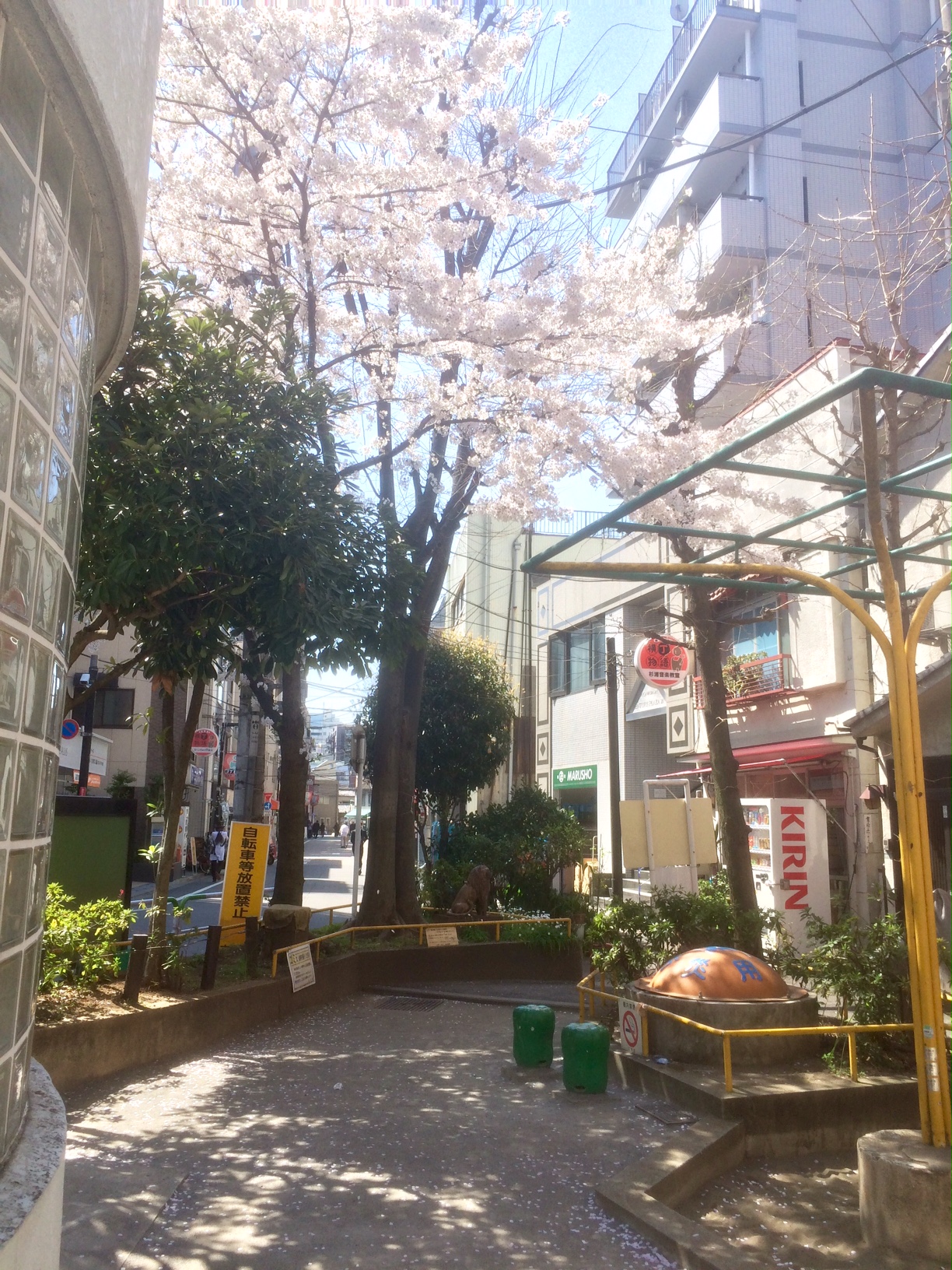 関口一丁目児童遊園