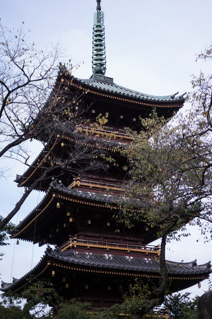 旧寛永寺五重塔