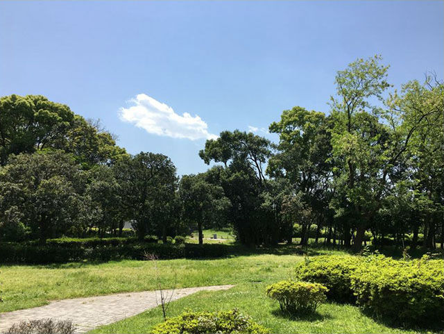 夢の島公園