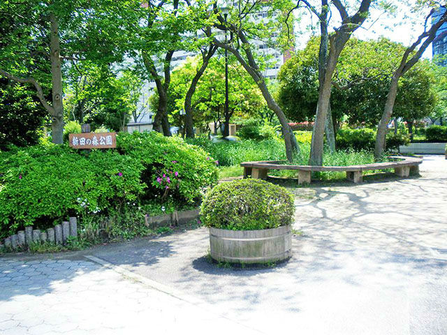 新田の森公園