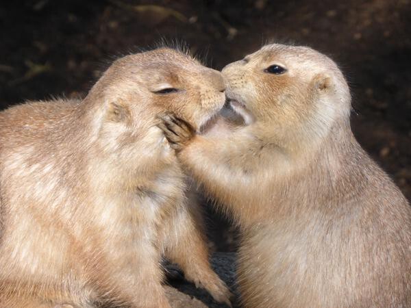 江戸川区自然動物園