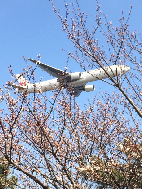 城南島海浜公園第一キャンプ場
