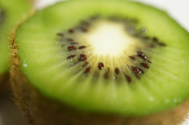 スモールフルーツランド ベリーコテージ