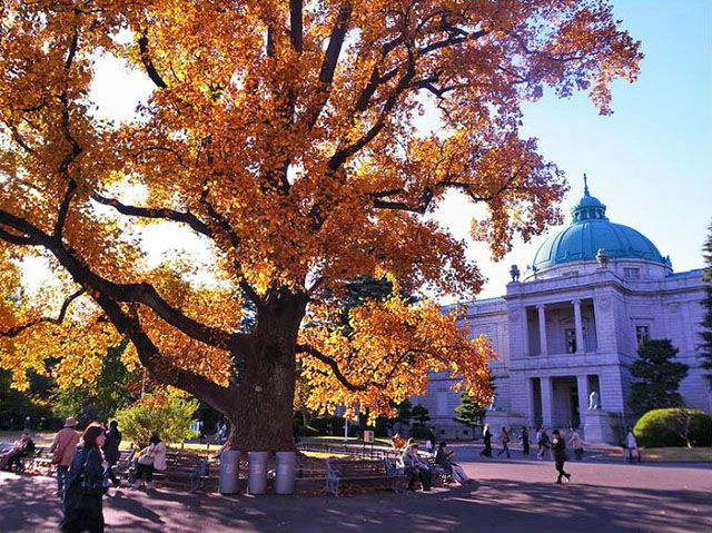 東京国立博物館