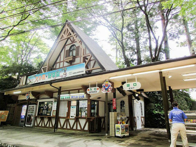 さる園(野草園)