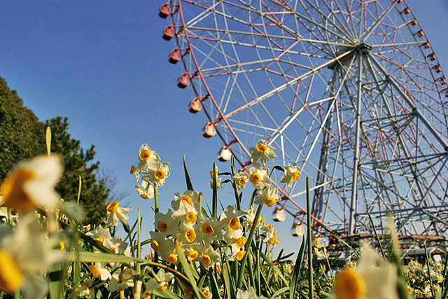 葛西臨海公園「ダイヤと花の大観覧車」