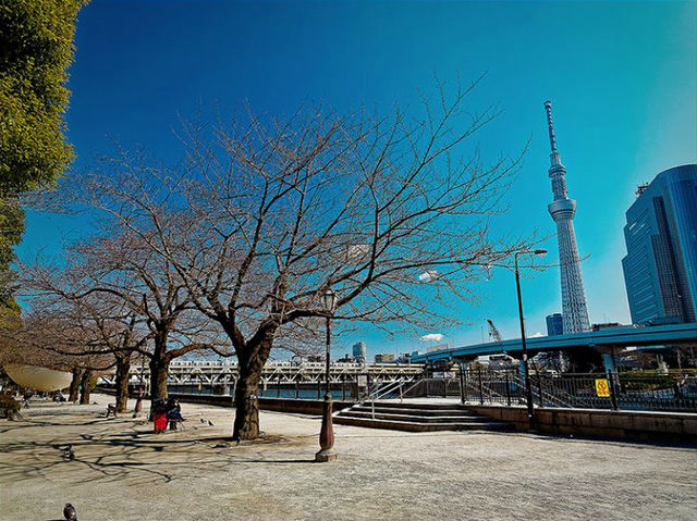 隅田公園
