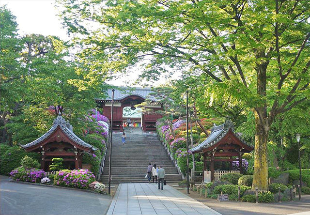 護国寺