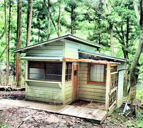 レトロ ノルウェーの森 上下 村上春樹 ノルウェイの森』 初版 上下巻揃い 帯付き(村上春樹 著) ⁄ 古本、中古