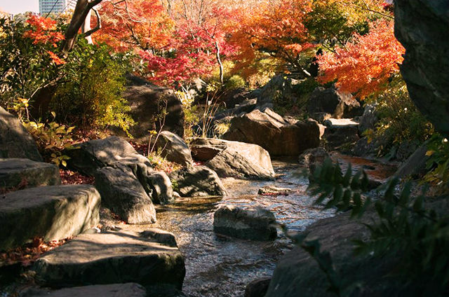 檜町公園