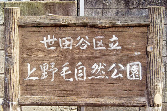 上野毛自然公園