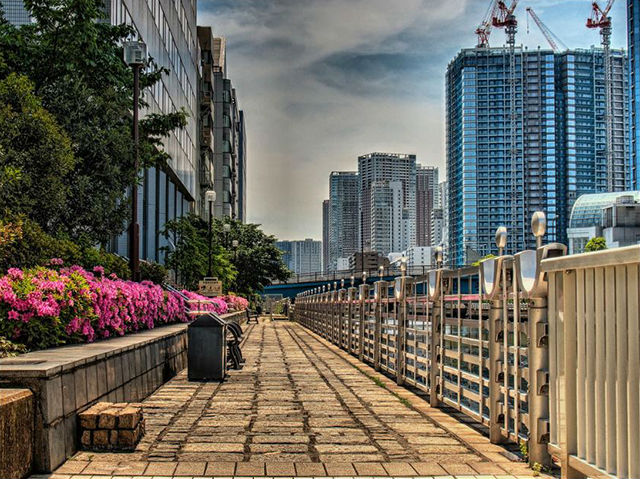 芝浦運河沿緑地