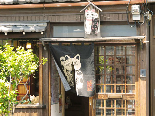 招き猫 谷中堂