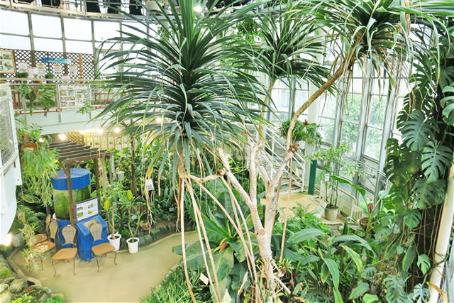 ふれあい植物センター