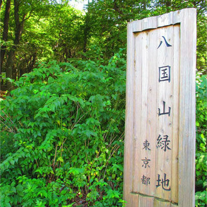 八国山緑地