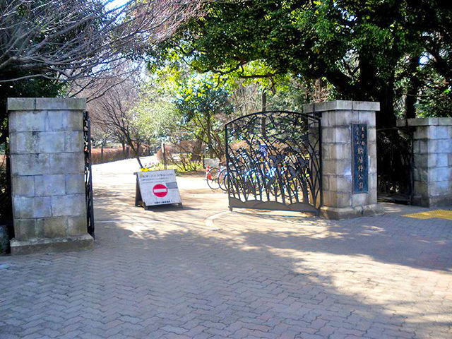 駒場野公園