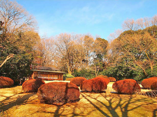 明治神宮（約1620m）