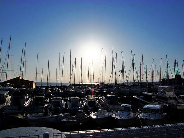 はやま港海の駅
