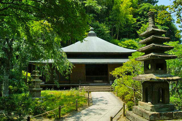 【6月限定】東慶寺 白蓮舎