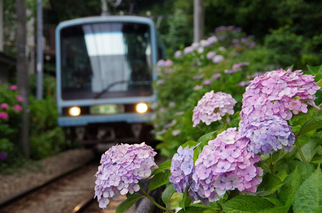 御霊神社(鎌倉権五郎神社)