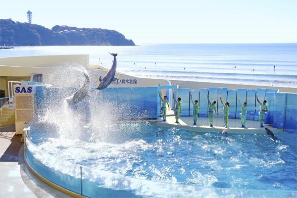 新江ノ島水族館