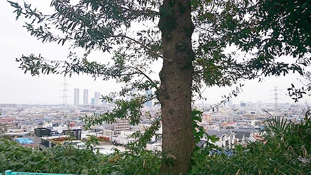 井田伊勢台公園