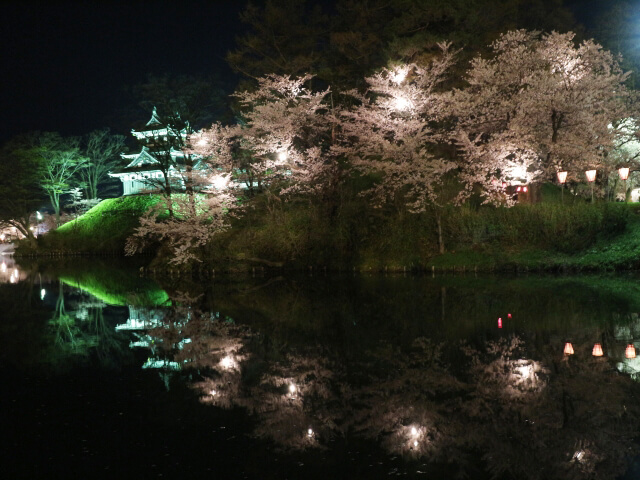 高田公園の夜桜