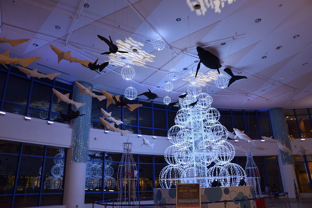 アクアシティお台場