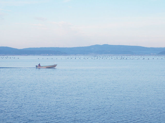 能登の海